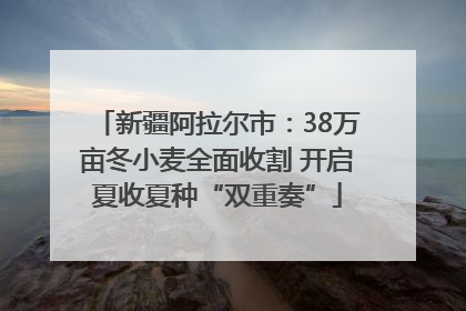 新疆阿拉尔市：38万亩冬小麦全面收割 开启夏收夏种“双重奏”