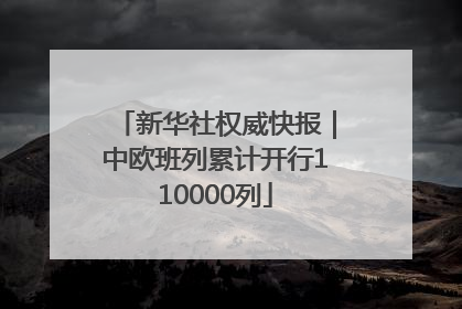新华社权威快报｜中欧班列累计开行110000列