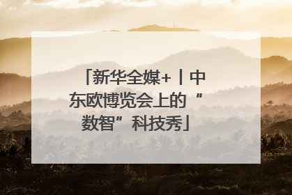 新华全媒+丨中东欧博览会上的“数智”科技秀