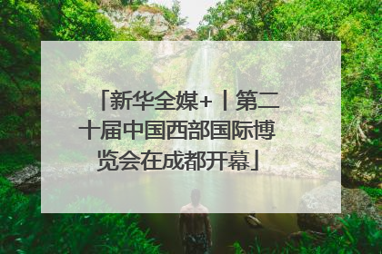 新华全媒+丨第二十届中国西部国际博览会在成都开幕