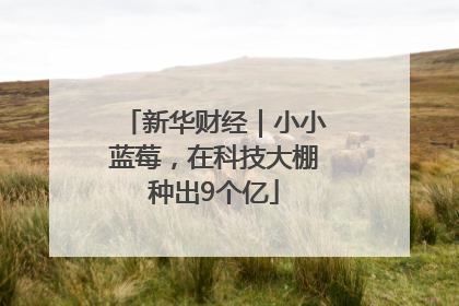新华财经｜小小蓝莓，在科技大棚种出9个亿