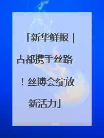 新华鲜报｜古都携手丝路！丝博会绽放新活力
