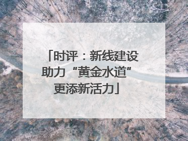 时评：新线建设助力“黄金水道”更添新活力
