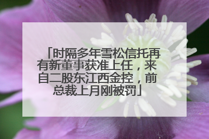 时隔多年雪松信托再有新董事获准上任，来自二股东江西金控，前总裁上月刚被罚
