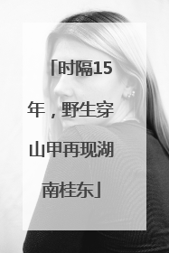 时隔15年，野生穿山甲再现湖南桂东