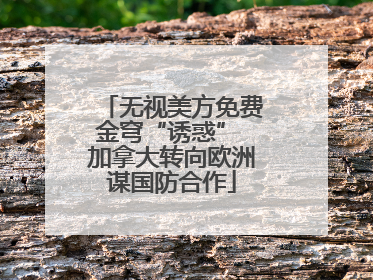 无视美方免费金穹“诱惑” 加拿大转向欧洲谋国防合作