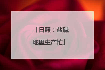 日照：盐碱地里生产忙