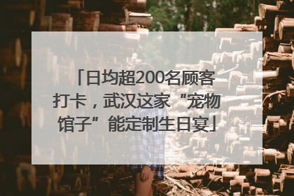 日均超200名顾客打卡，武汉这家“宠物馆子”能定制生日宴