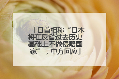 日首相称“日本将在反省过去历史基础上不做侵略国家”，中方回应