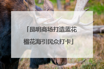 昆明商场打造蓝花楹花海引民众打卡