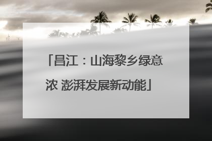 昌江：山海黎乡绿意浓 澎湃发展新动能