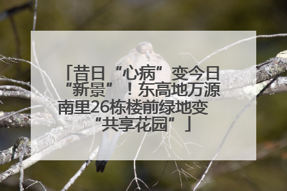 昔日“心病”变今日“新景”！东高地万源南里26栋楼前绿地变“共享花园”