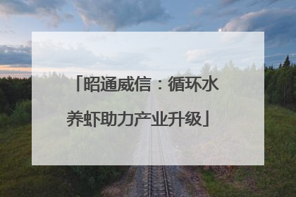 昭通威信：循环水养虾助力产业升级
