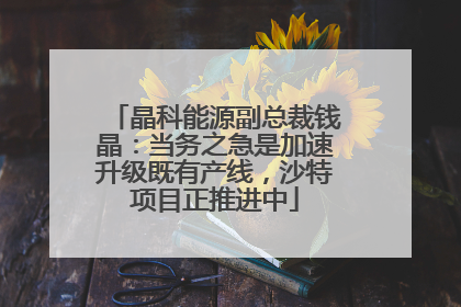 晶科能源副总裁钱晶：当务之急是加速升级既有产线，沙特项目正推进中