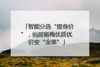 智能分选“提身价”，仙居杨梅优质优价变“金果”