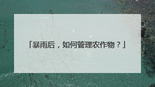 暴雨后，如何管理农作物？