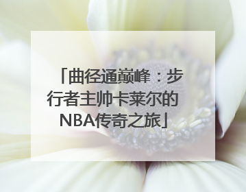曲径通巅峰：步行者主帅卡莱尔的NBA传奇之旅