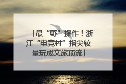最“野”操作！浙江“电竞村”指尖较量玩成文旅顶流