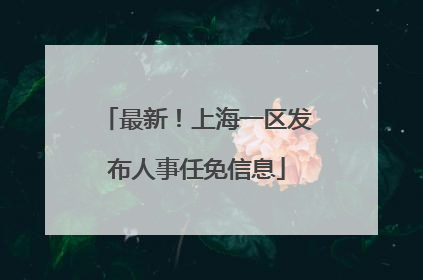 最新！上海一区发布人事任免信息