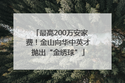 最高200万安家费！金山向华中英才抛出“金绣球”