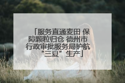 服务直通麦田 保障颗粒归仓 德州市行政审批服务局护航“三夏”生产
