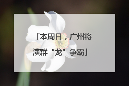 本周日，广州将演群“龙”争霸