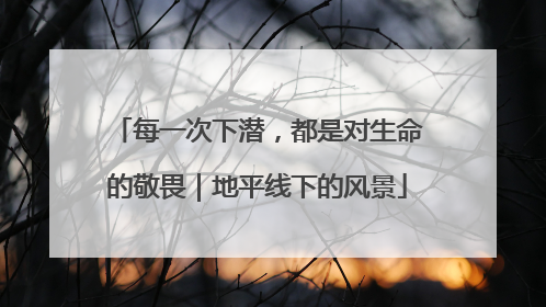每一次下潜，都是对生命的敬畏｜地平线下的风景