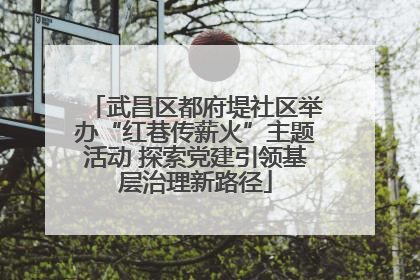 武昌区都府堤社区举办“红巷传薪火”主题活动 探索党建引领基层治理新路径