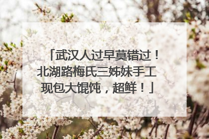 武汉人过早莫错过！北湖路梅氏三姊妹手工现包大馄饨，超鲜！