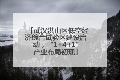 武汉洪山区低空经济综合试验区建设启动，“1+4+1”产业布局初现