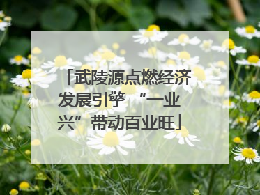 武陵源点燃经济发展引擎 “一业兴”带动百业旺