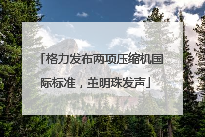 格力发布两项压缩机国际标准，董明珠发声