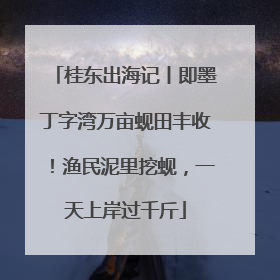 桂东出海记丨即墨丁字湾万亩蚬田丰收！渔民泥里挖蚬，一天上岸过千斤