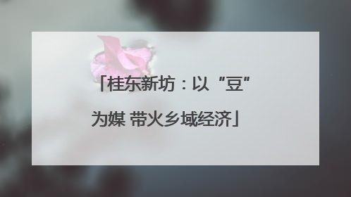 桂东新坊：以“豆”为媒 带火乡域经济
