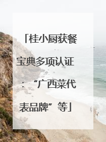 桂小厨获餐宝典多项认证：“广西菜代表品牌”等