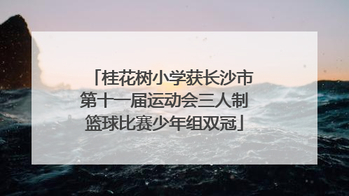 桂花树小学获长沙市第十一届运动会三人制篮球比赛少年组双冠