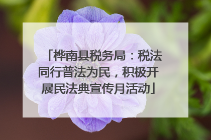 桦南县税务局：税法同行普法为民，积极开展民法典宣传月活动