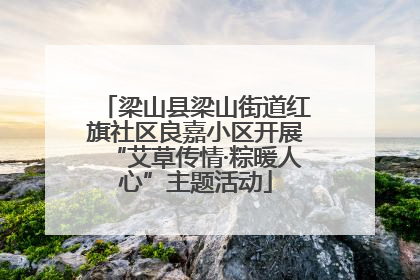 梁山县梁山街道红旗社区良嘉小区开展“艾草传情·粽暖人心”主题活动