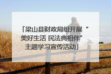梁山县财政局组开展“美好生活 民法典相伴”主题学习宣传活动