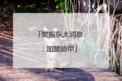 樊振东大消息：加盟德甲