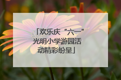 欢乐庆“六一” 光明小学游园活动精彩纷呈