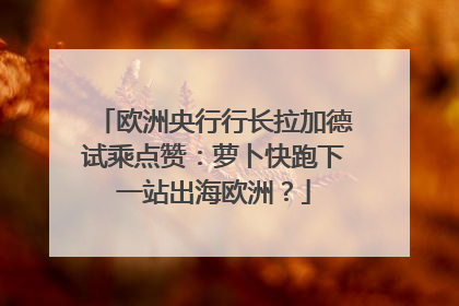 欧洲央行行长拉加德试乘点赞：萝卜快跑下一站出海欧洲？
