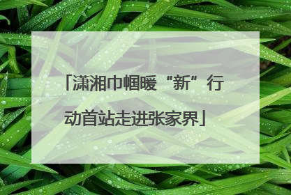 潇湘巾帼暖“新”行动首站走进张家界