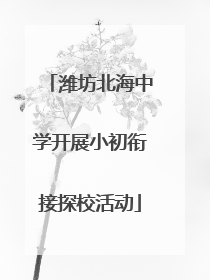 潍坊北海中学开展小初衔接探校活动