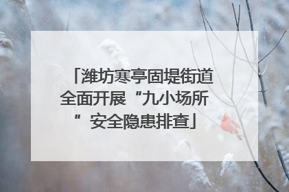 潍坊寒亭固堤街道全面开展“九小场所”安全隐患排查