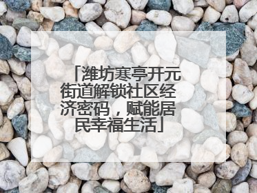 潍坊寒亭开元街道解锁社区经济密码，赋能居民幸福生活