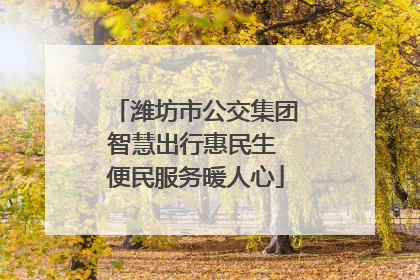 潍坊市公交集团智慧出行惠民生 便民服务暖人心