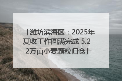 潍坊滨海区：2025年夏收工作圆满完成 5.22万亩小麦颗粒归仓