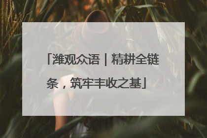 潍观众语｜精耕全链条，筑牢丰收之基