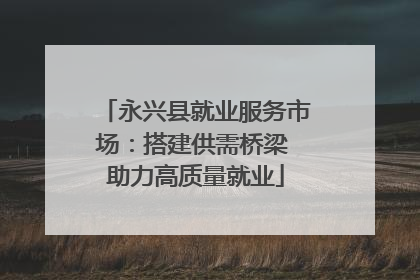永兴县就业服务市场：搭建供需桥梁 助力高质量就业
